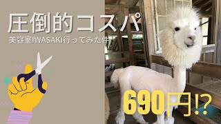 【圧倒的高コスパ】690円美容室IWASAKI体験談