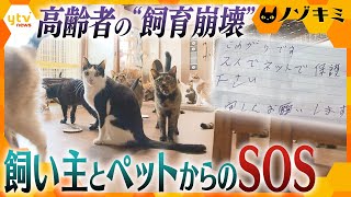 大切な家族の一員、ずっと一緒にいたいけど…“飼育崩壊”からペットと高齢者を守る現場に密着【かんさい情報ネット ten.特集/ノゾキミ】