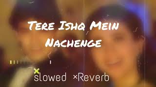 Tere Ishq Mein Nachenge | Slowed Reverb Hindi Lofi Song | Kumar sanu