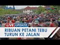 Ribuan Petani Tebu PG Jatitujuh Geruduk Pendopo Indramayu Pertanyakan Nasib seusai Insiden Berdarah