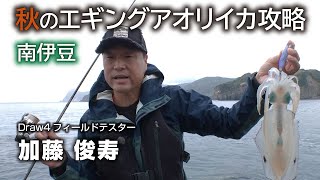 秋のエギングアオリイカ攻略・南伊豆