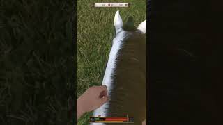 My first and last time riding a horse in KCD2