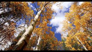 Strolling in the Colorado Rocky Mountains (Dareful)