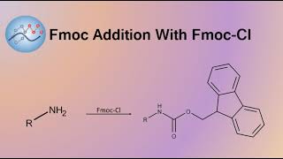 Adding Fmoc Group With Fmoc-Cl Mechanism | Organic Chemistry