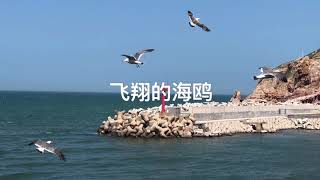 烟台  yantai 山东 长岛 chinese city  Shandong 家乡 长岛 好玩的地方 Where is the fun of Shandong China [2018]