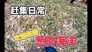 大葱叶撒了一大片地 简直是葱的海洋 大连金州大型露天集市3