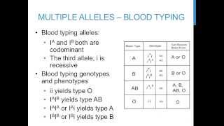 Punnett square practice problems (multiple alleles)