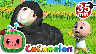 Baa Baa Black Sheep + More Nursery Rhymes & Kids Songs - CoComelon