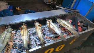 GRILLED fish #fish ត្រីអាំងអំបិល