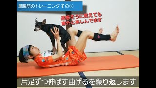 家トレ【腸腰筋のトレーニング 】仰向けで腹筋も鍛えちゃおう！重りで負荷アップ