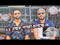 ২০০০ সাল থেকে পাল্লা করে আসছে আমাদের মিরপুরের রাসেল ভাই🥰01674981541| Miraj Pigeon & Pets