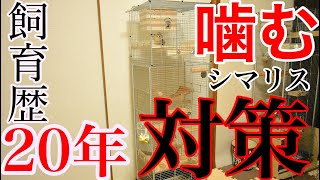 【凶暴】シマリス飼育歴20年が考えた噛むシマリスを飼育するためのケージ！！