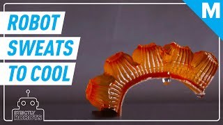 This Robot Actually SWEATS | Strictly Robots