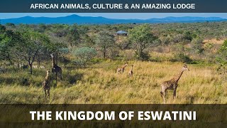 The Kingdom of Eswatini: Our First African Experience (4K)
