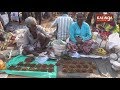 Red Ant's Chutney: Tribal delicacy from Mayurbhanj | Kalinga TV