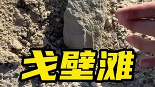 和田玉戈壁料最多的戈壁滩捡玉是什么体验？收获一枚大货