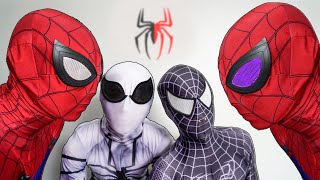 TEAM SPIDER-MAN vs BAD GUY TEAM || Who Is THE REAL HERO ?? ( Live Action ) - FLife vs