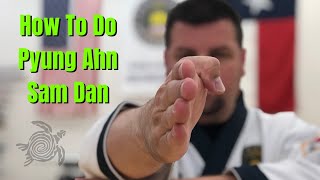 How to do Pyung Ahn Sam Dan for Tang Soo Do