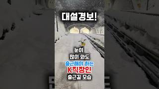 폭설이 와도 출근해야 하는 K직장인 화이팅입니다. 힘내세요~! | ❄️대설경보 | 눈길출근 | 서울통근 ☃️