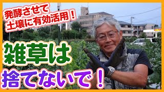 Don't throw away weeds ! Tips for controlling weeds from a Japanese farmer !