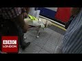 Being disabled in London - BBC London