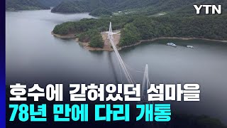 78년간 호수에 갇힌 육지 속 섬마을...출렁다리 개통 / YTN