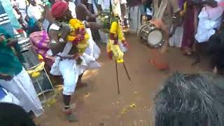 Thiruvtaiyarpati festival(1)