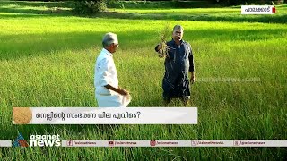 നെല്ല് സംഭരണ തുക ഇനിയും കിട്ടാതെ കർഷകർ | Palakkad Farmers