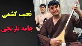 نجیب کشمی جامه نارنجی -  Najeeb Keshmi Jama Narenji