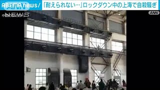 上海混乱　食料不足の窮状を叫び、隔離に耐え兼ね自殺騒ぎも(2022年4月22日)