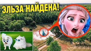 Мой дрон нашёл Эльзу в РЕАЛЬНОЙ ЖИЗНИ !