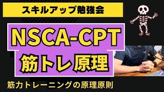 ※お試し【NSCA-CPT＿要点まとめ講座②】筋力トレーニングのすべて（原理原則）