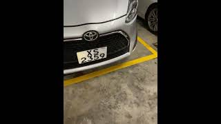 車CAM直擊 - 衰狗主留隻狗喺架車度仲要唔開窗