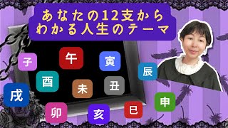 【12支で知る貴方の人生テーマ！12支まとめ保存版⠀】