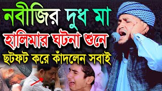 নবীজির দুধ মা হালিমার যে ঘটনা শুনে দুনিয়াবাশির বুকফাঁটা কান্না। মাওলানা ইউসুফ আলী সিরাজী | Bic Media