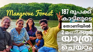 Kadalundi Mangrove Forest | Kadalundi Bird Sanctuary | Boating | Timbuchanz World