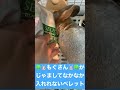 はらぺこうさぎがペレットにがっつきすぎて逆に食べれない様子【うさぎのもぐさん】