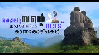 മുന്നാറിലെ നീല വസന്തം മൂന്നാറില്‍ ജക്രാന്ത പൂവിട്ടു;