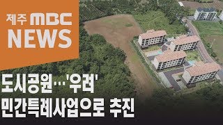 도시공원…'우려' 민간특례사업으로 추진