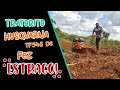 Olha o ESTRAGO que este TRATORITO faz no MATO! Motocultivador HUSQVARNA TF 545DE