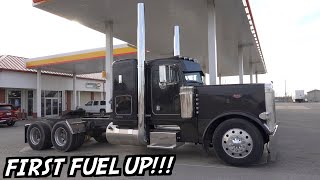 PETERBILT 379 FIRST FUEL UP IN YEARS!!!! 6nz CAT SOUNDS SOO GOOD!!!
