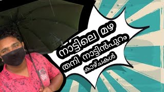 Local monsoon highlights | Outdoor views നാട്ടിലെ മഴക്കാല വിശേഷങ്ങൾ|ഒരു നാട്ടിൻ പുറത്തെ കാഴ്ചകൾ