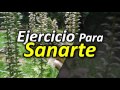 Ejercicio del Perdón Para Sanarte