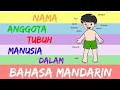 Nama Anggota Tubuh Dalam Bahasa Mandarin