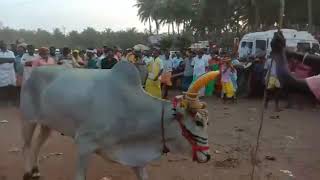 Sanuppatti Royal jalakerthu dance