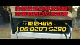 伪装商场短信群发·伪基站机器大概多少钱·短信群发设备设置与应用BD影视分享bd2020 co齐天大圣 2022 HD1080P 国语中字 102 5