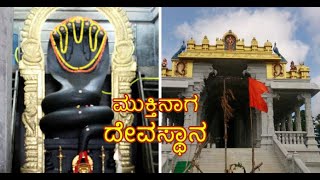 Mukti Naga temple Ramohalli - Perform Sarpa Sanskara, Naga Pratishte, Ashlesha Bali in Bangalore