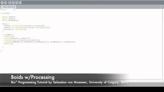 Boids with Processing, part 1