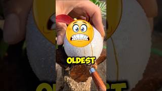 THE FRUITS WHICH ARE THE OLDEST IN THE WORLD #shortseua #youtube #youtubeshorts