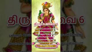 Thirupaval 6